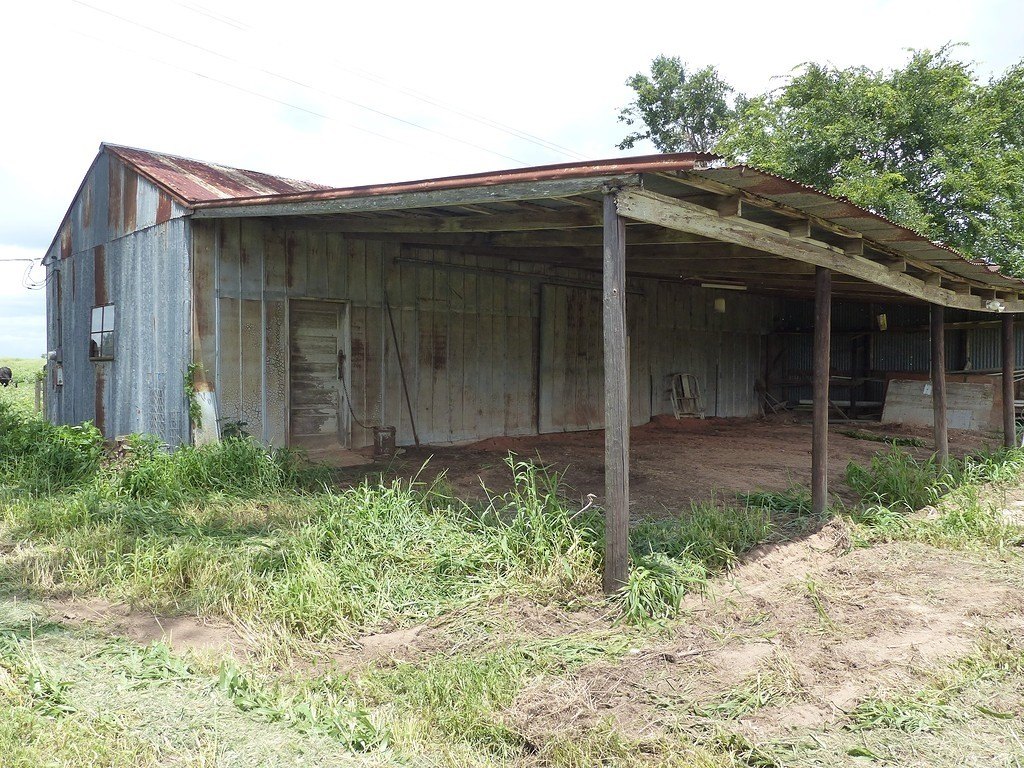 Picture 9