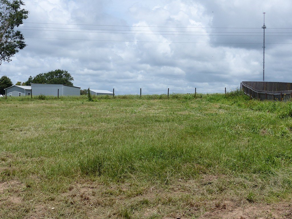 Picture 6