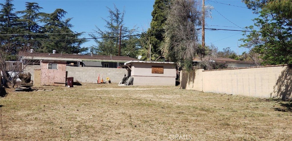 Picture 25