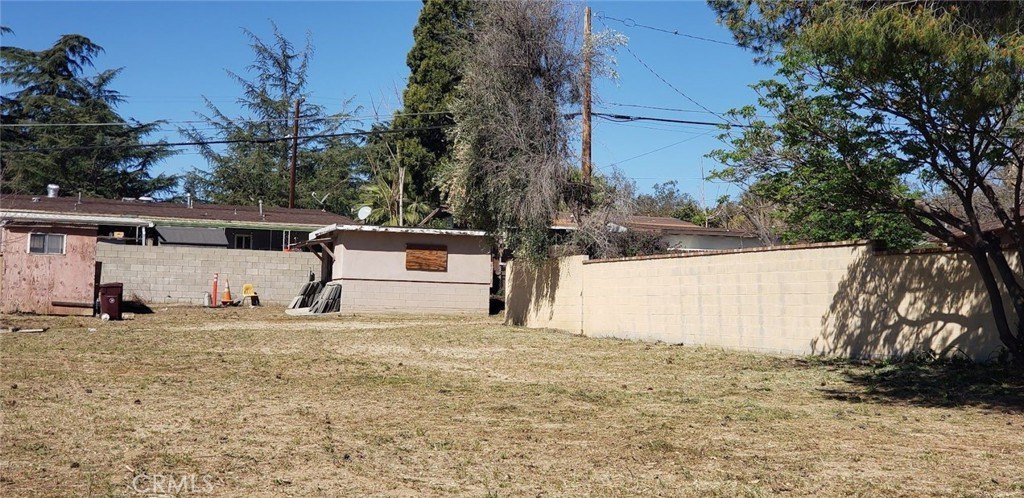Picture 23