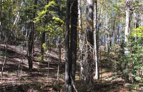 Wooded Lot in Buckhorn Estates