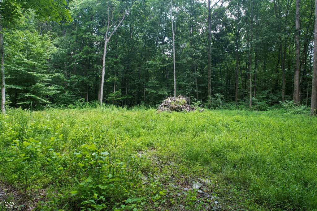 Picture 21