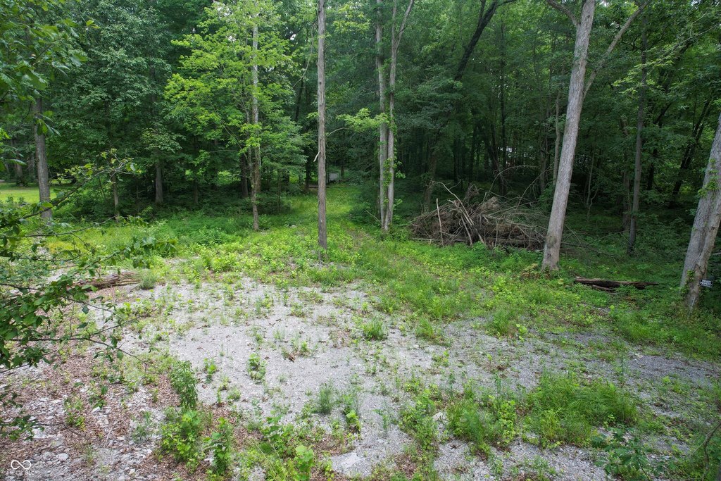 Picture 14