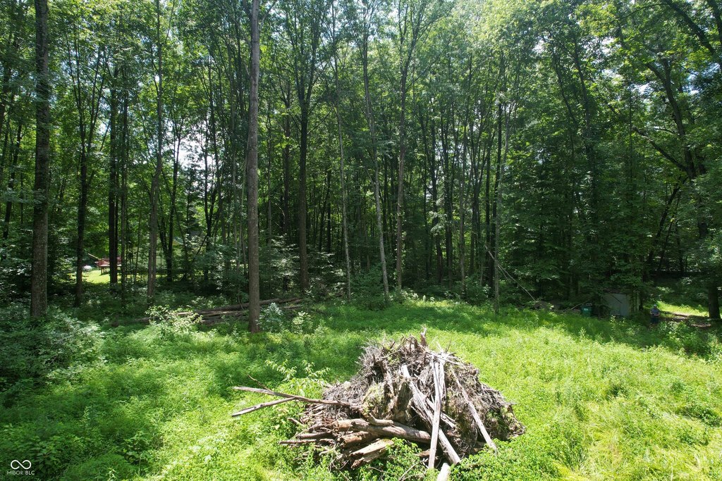 Picture 28