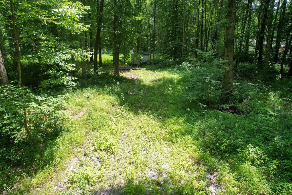 Picture 17