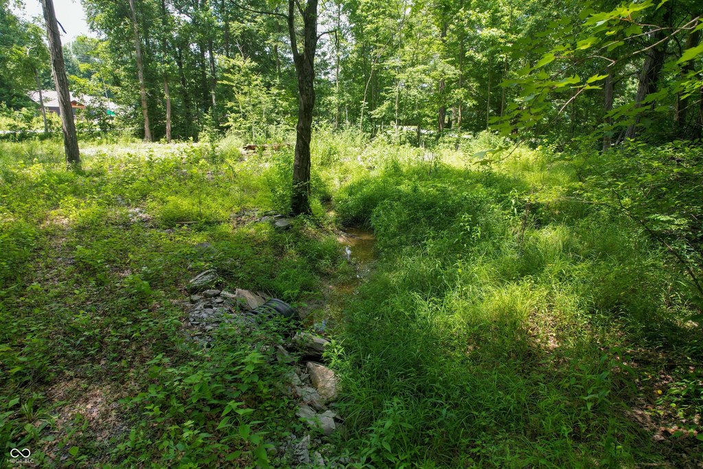 Picture 9