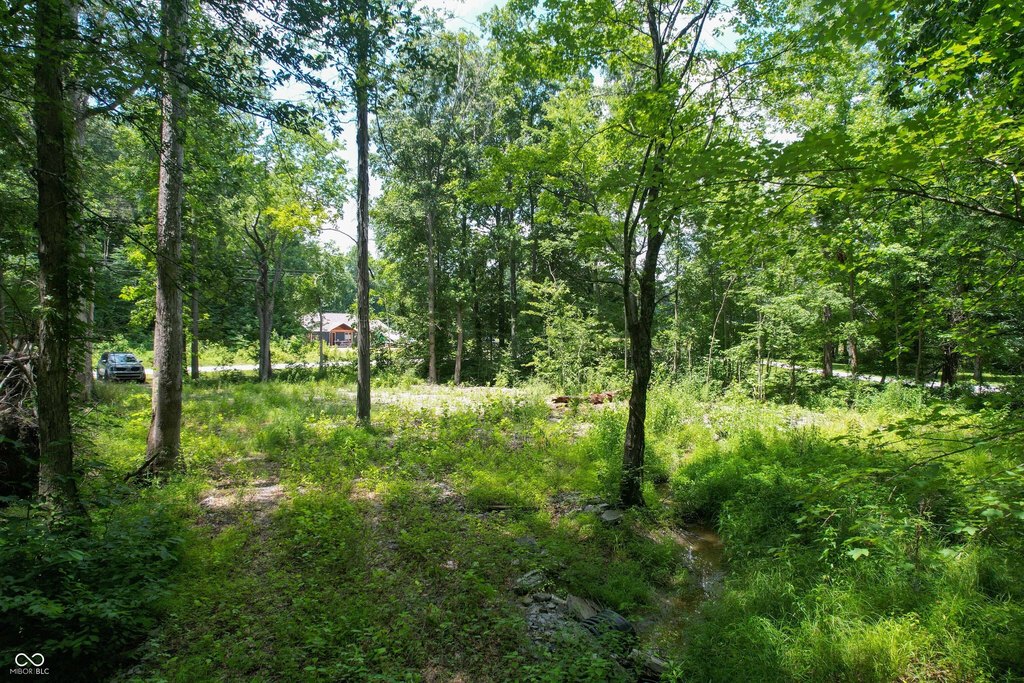 Picture 6