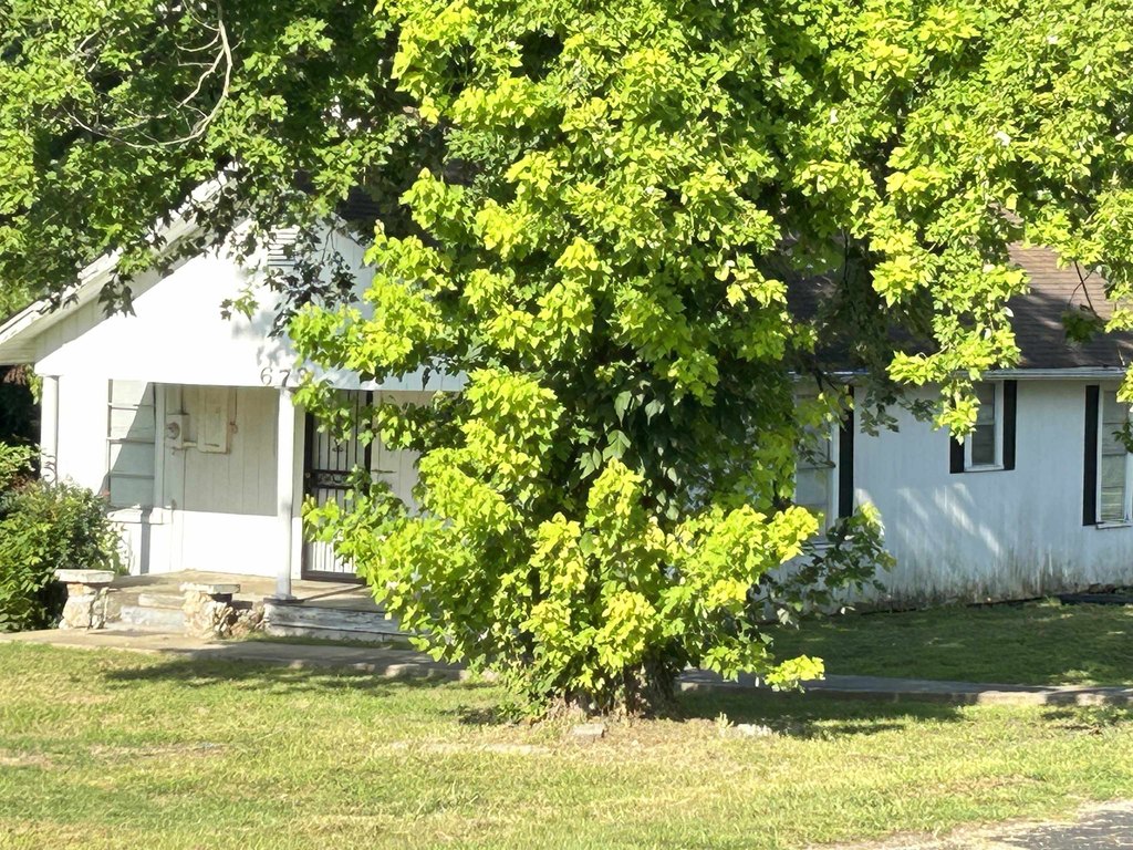 Picture 14
