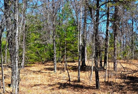 Secluded Land Near Fishtrap Lake
