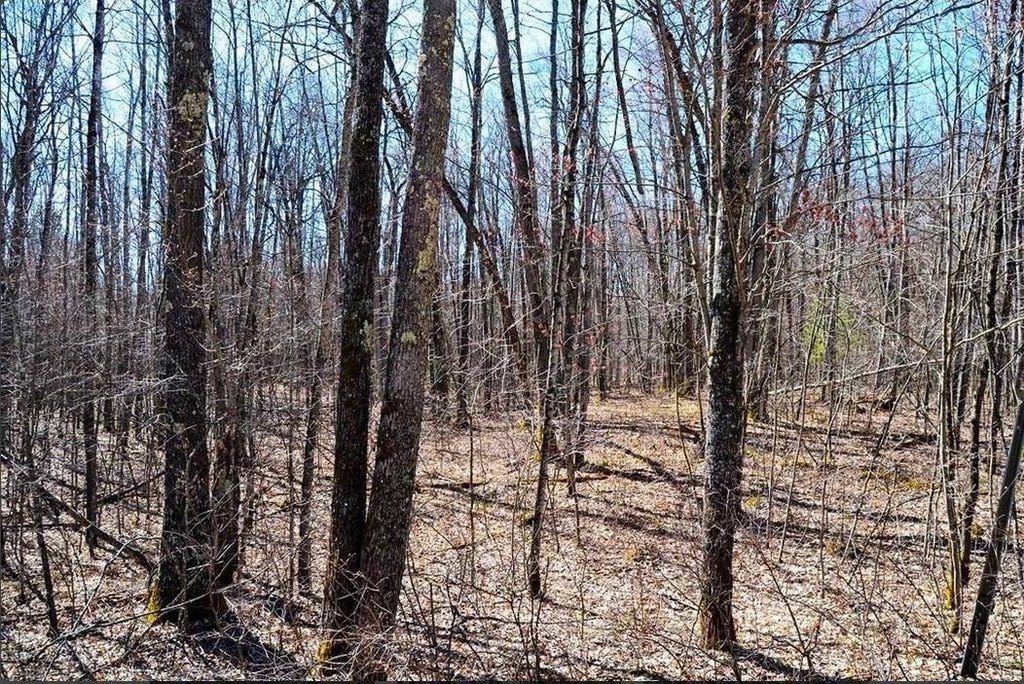Picture 4
