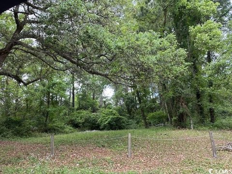 LAND - Conway, SC