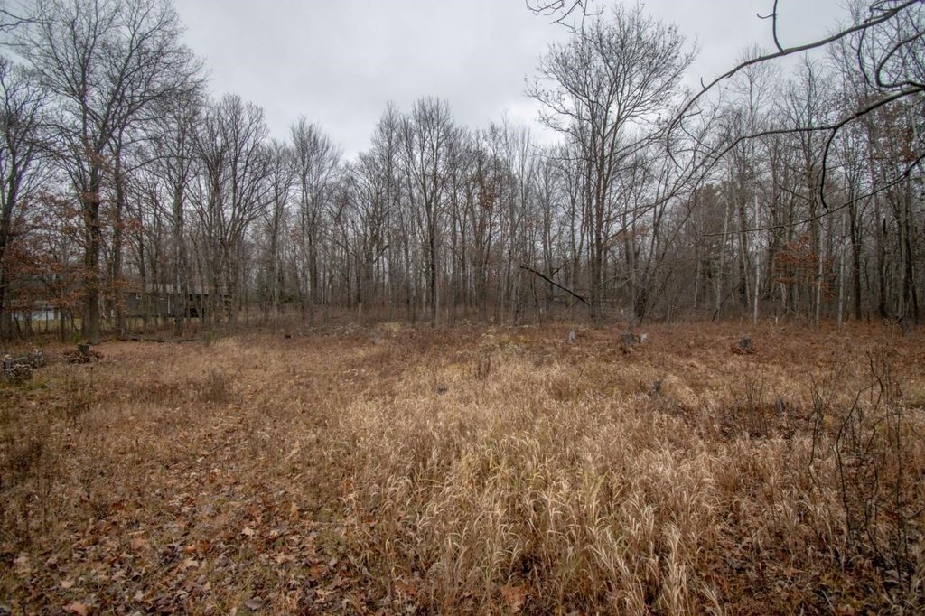 Picture 7