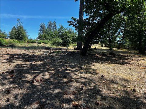 Residential Lot in Paradise, CA