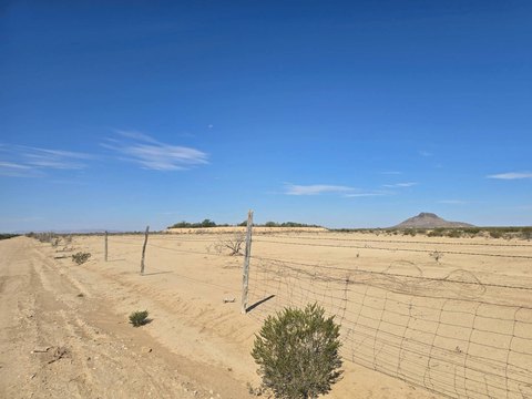 Terlingua Vacant Land with Views