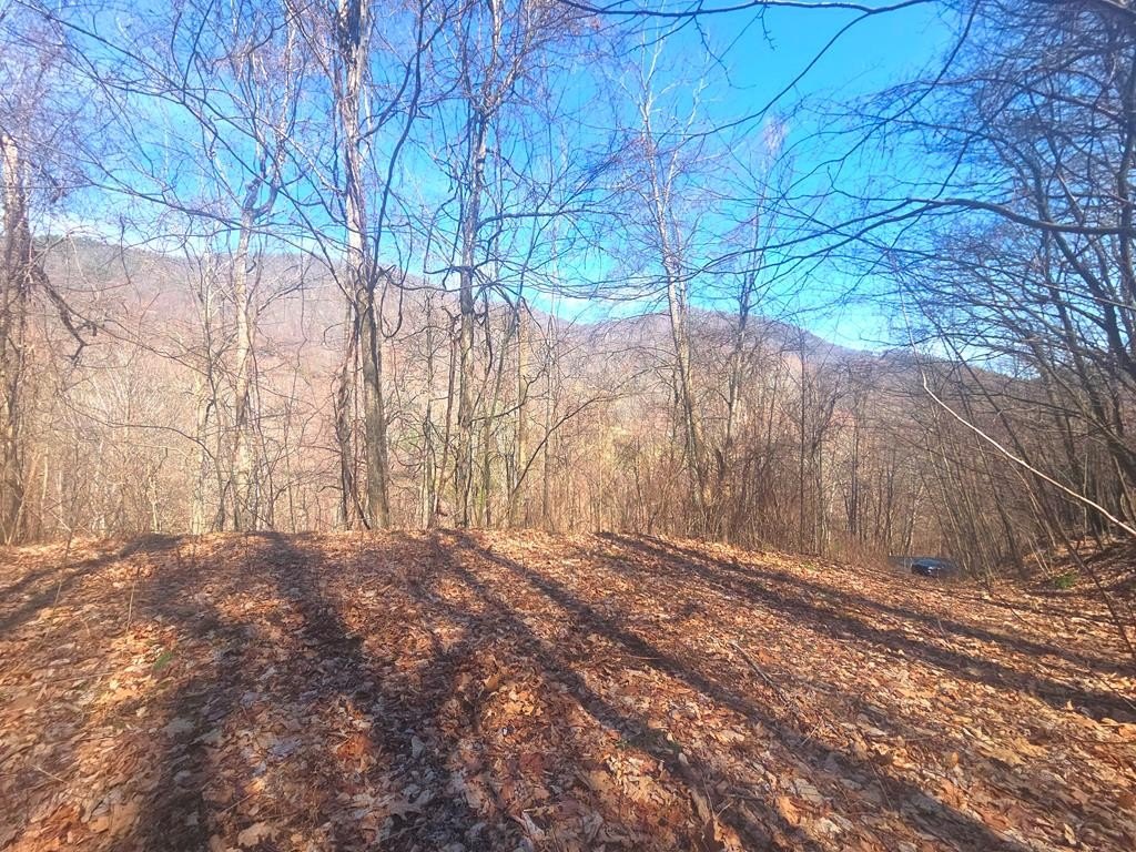 Waynesville Homesite in Gated Community