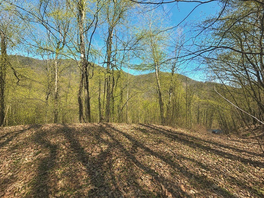 Picture 10