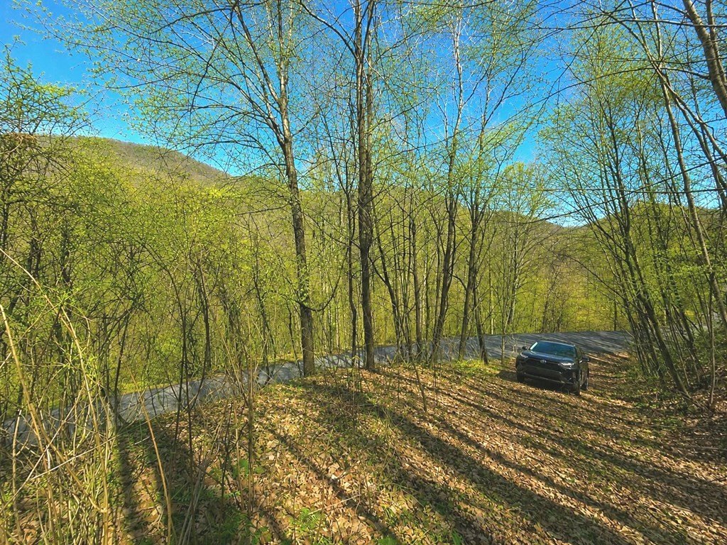 Picture 6