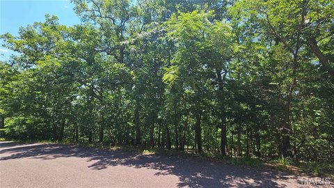 Land - Lake Sherwood, MO