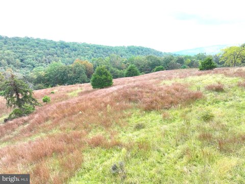 Untamed West Virginia Land For Sale