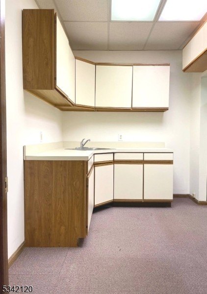 Picture 31