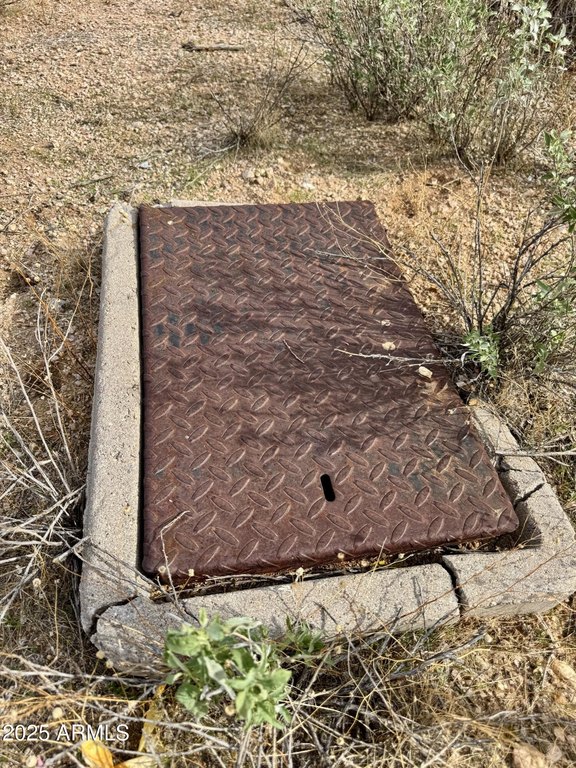 Picture 5
