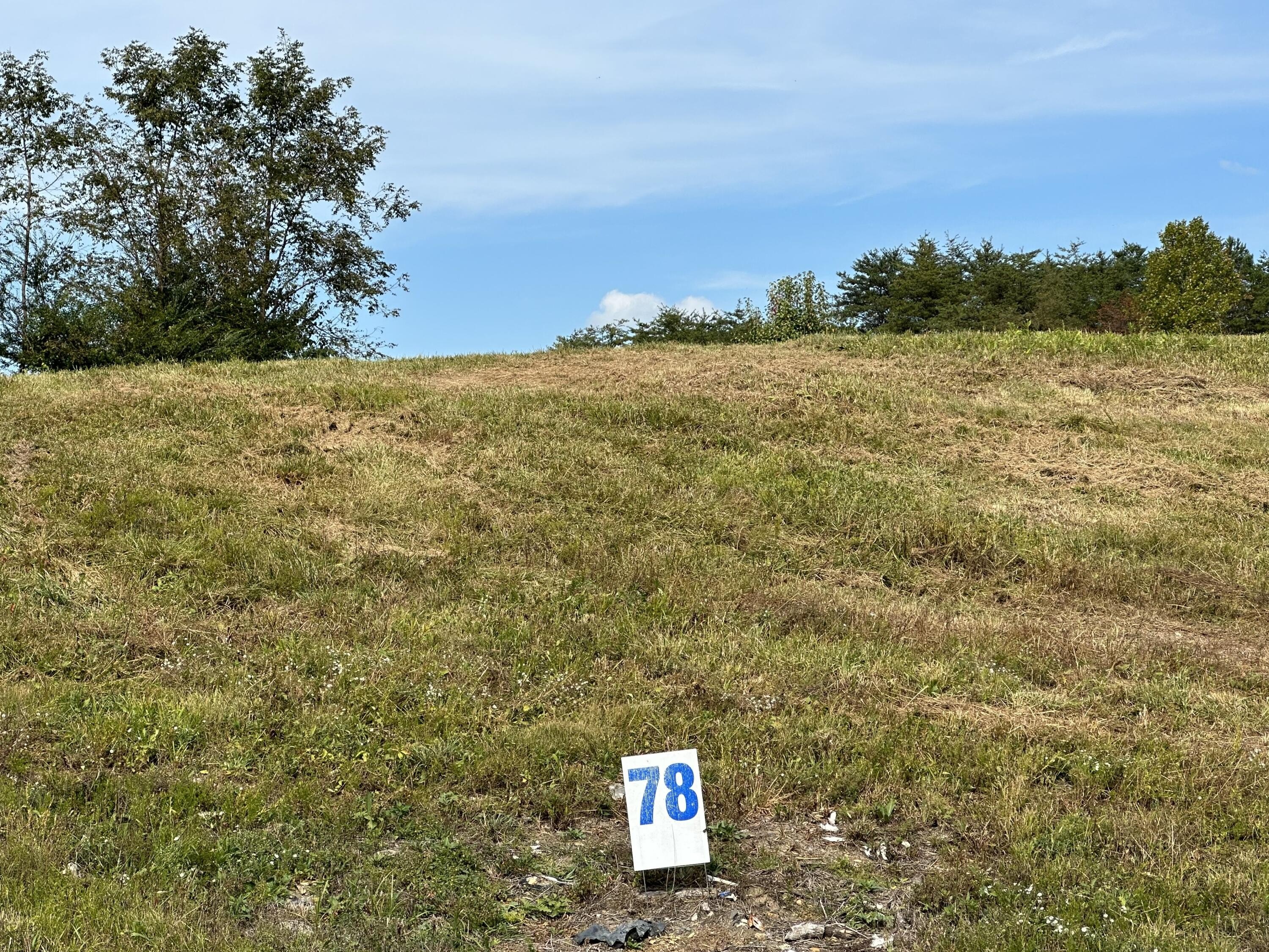 Residential Land in East Bernstadt