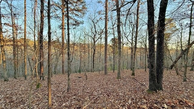 Secluded Lot Near Illinois River