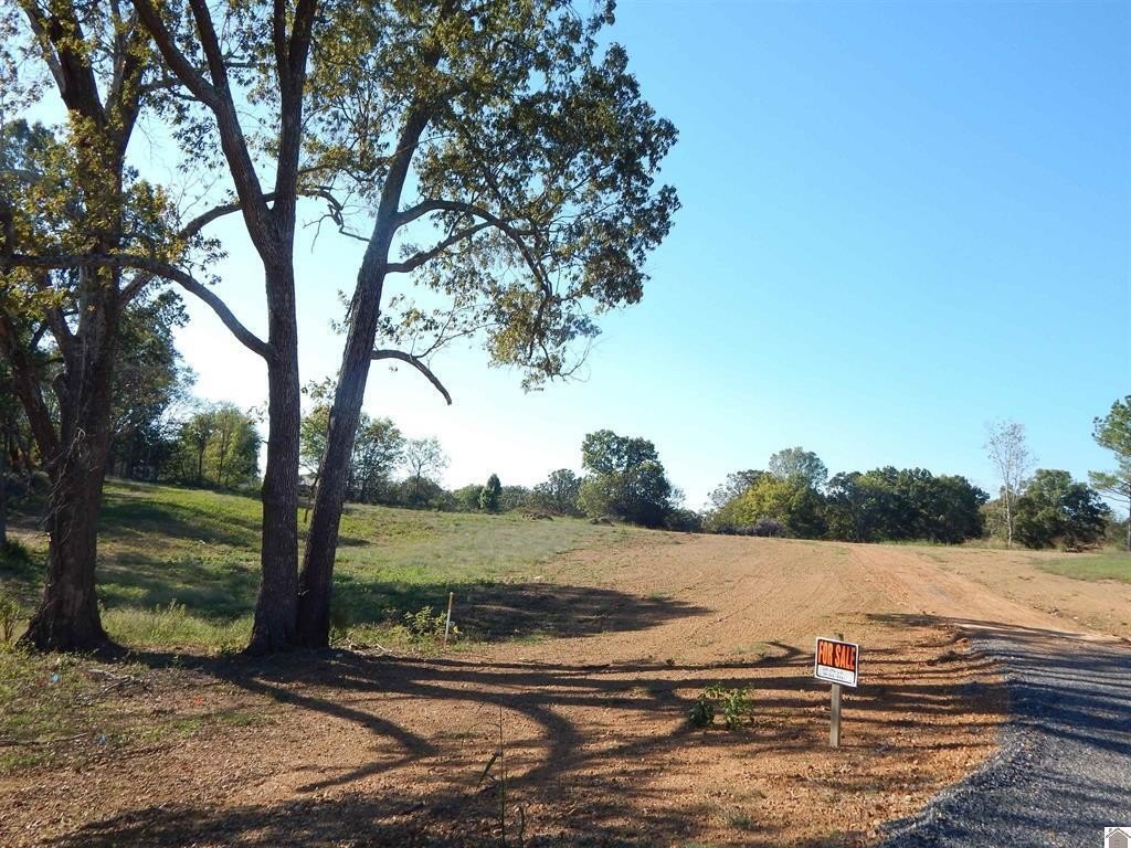 Picture 6