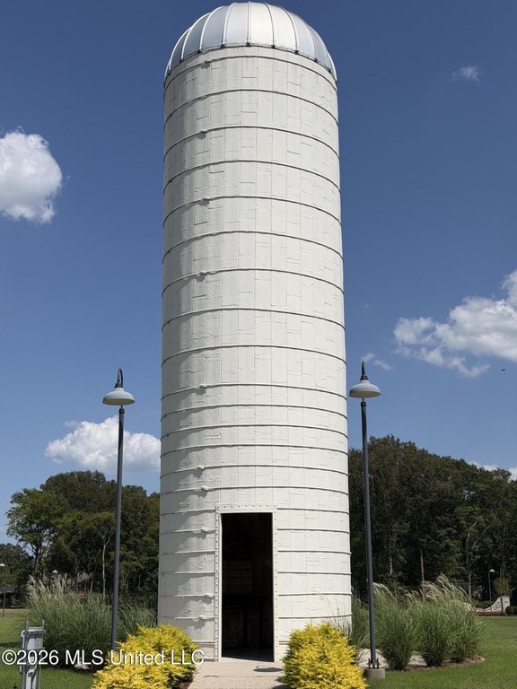Picture 5