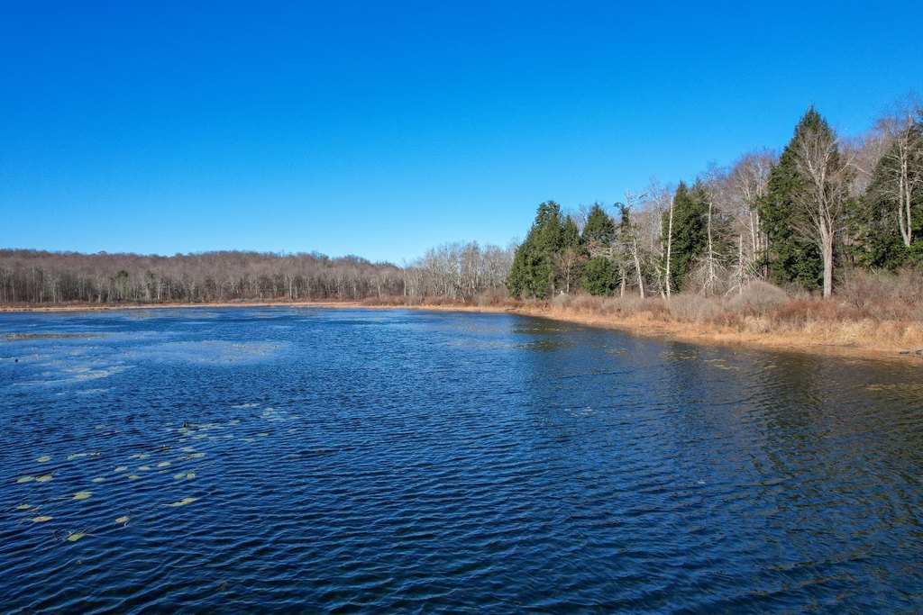 Picture 19