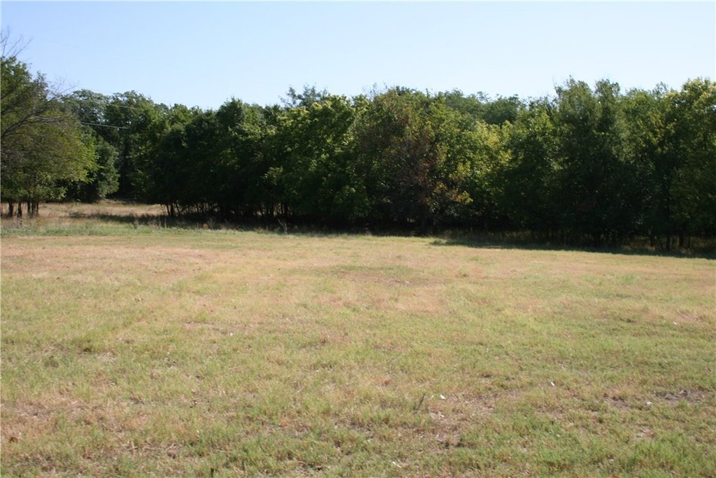 Picture 8