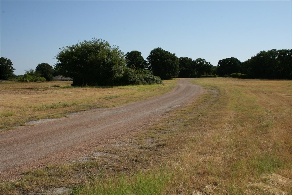 Picture 4