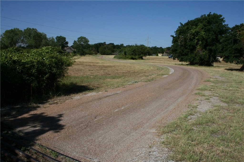 Picture 23