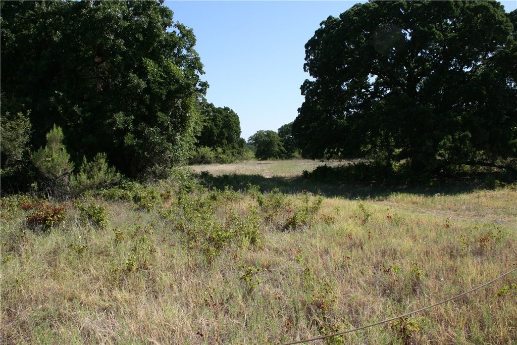 Picture 24