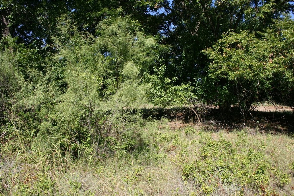 Picture 15