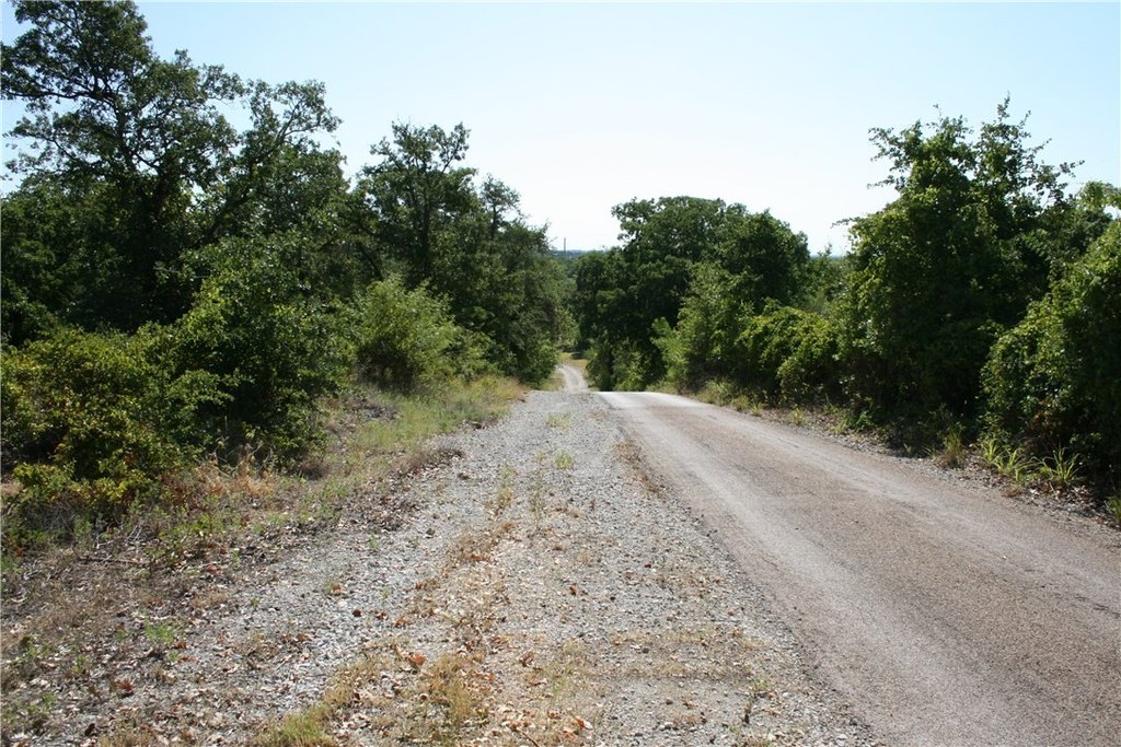 Picture 17