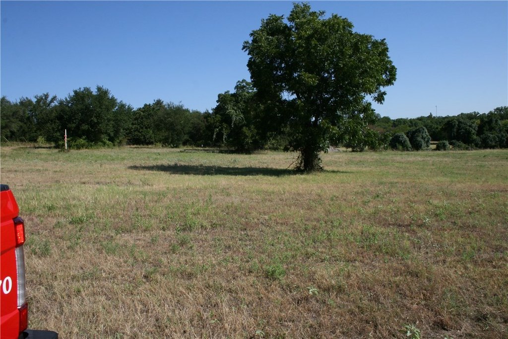 Picture 11