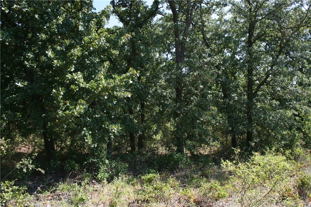 Picture 19