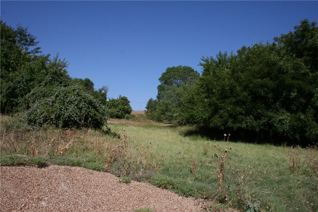 Picture 16