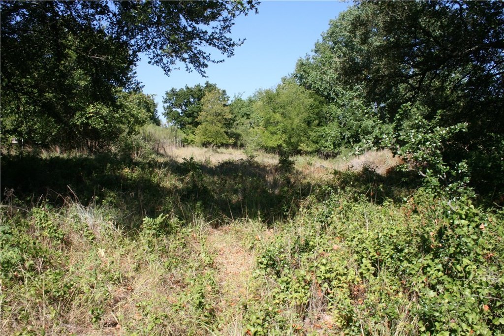 Picture 14