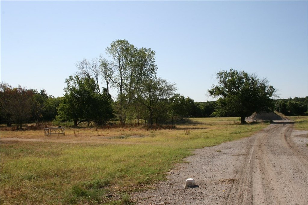 Picture 7