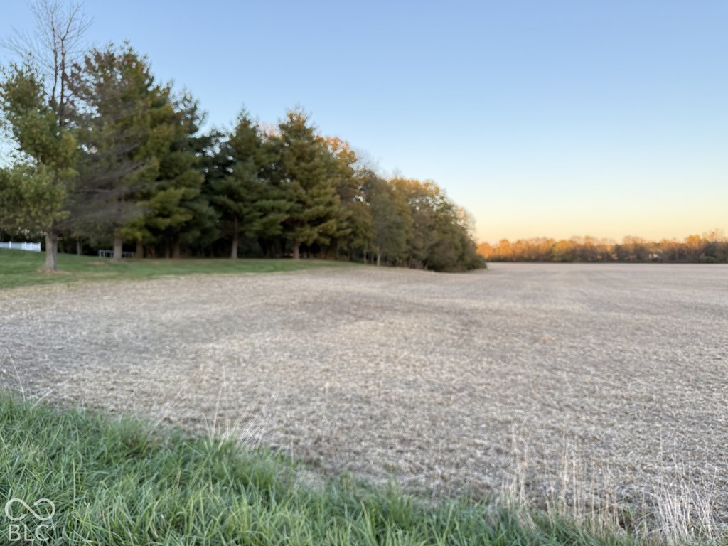 Picture 9
