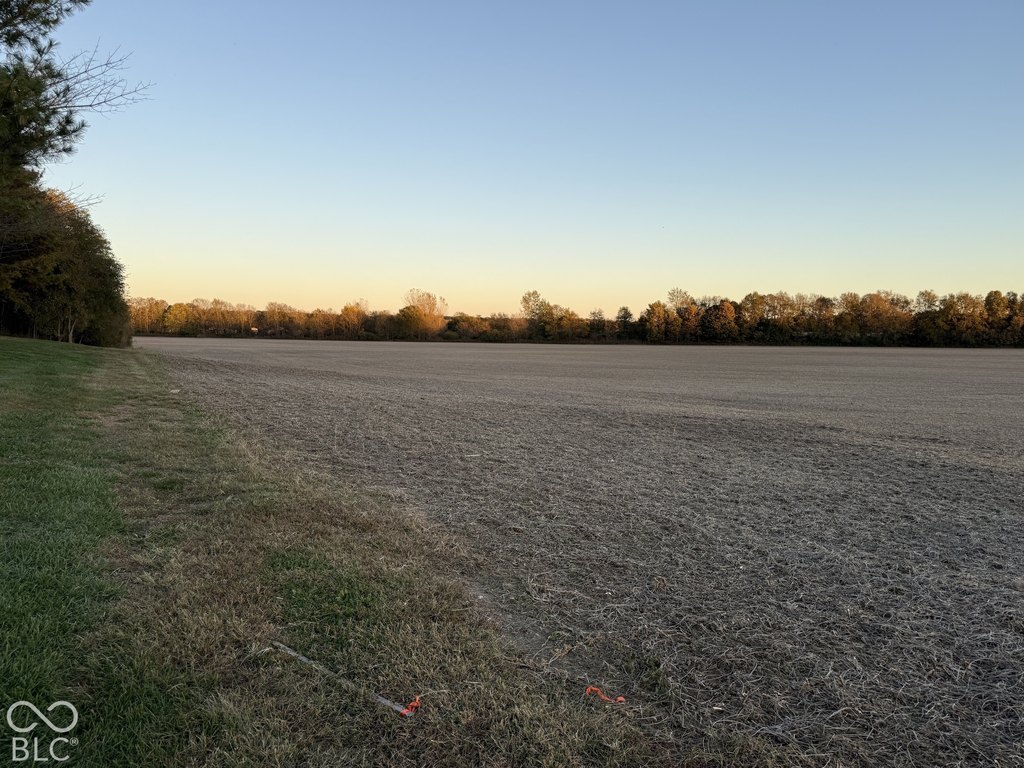 Picture 11