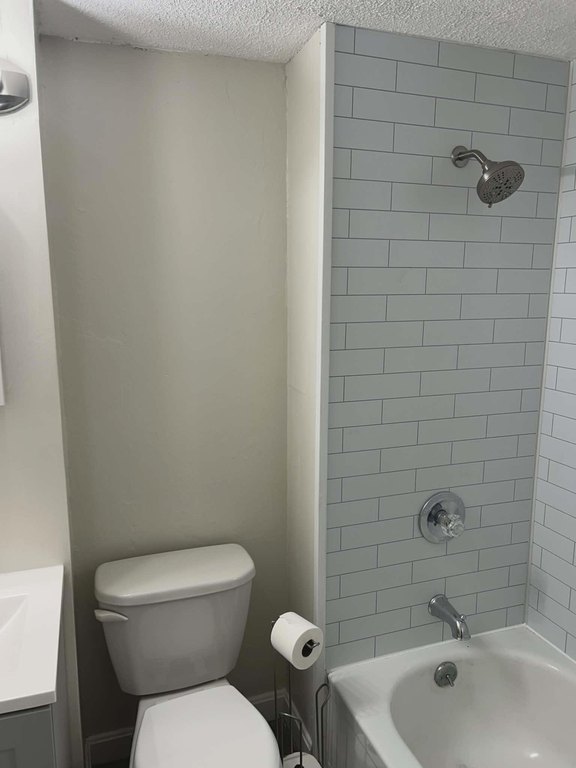 Picture 12