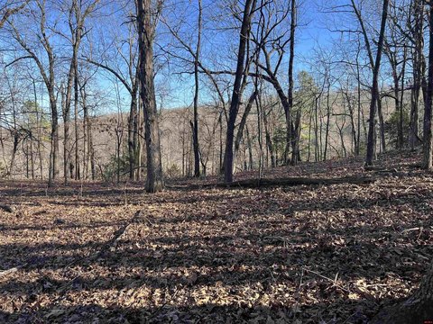 Wooded Hunting Land