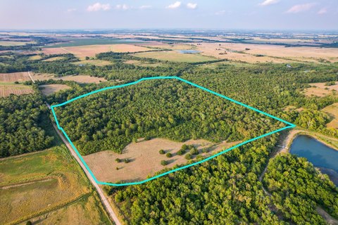 Timbered Hunting and Retreat Land
