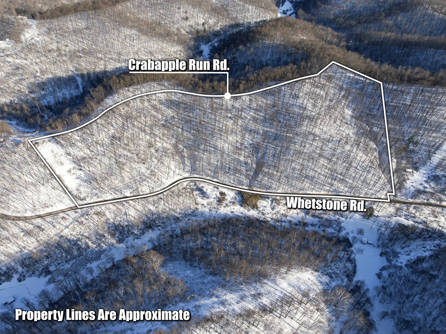 Wooded Land Ideal for Hunting