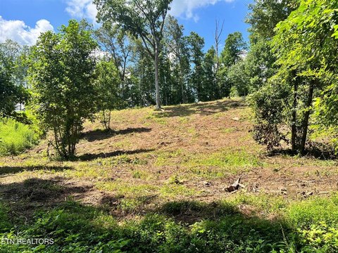 Unrestricted Land Near Watts Bar
