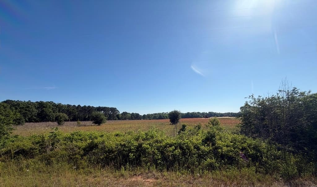 Residential Land in Slocomb, Alabama
