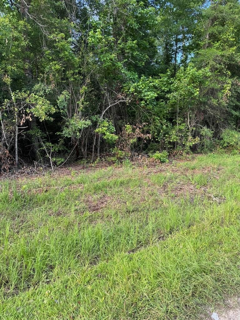 Lake Eufaula Land Opportunity